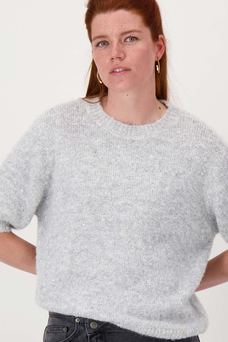 sequined sweater with round neck | light gray