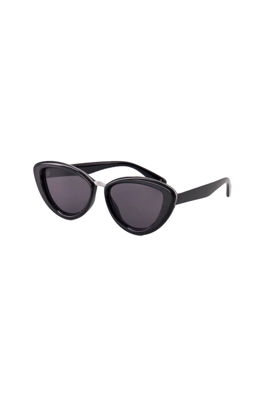 sunglasses incl. case | black
